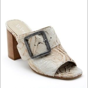 NEW Matisse Beatrice Mule